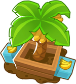 Banana Salvage