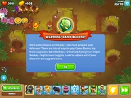 2nd BTD6 Camo warning
