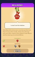 Ninja Monkey