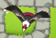32(?)/64 Giant Condor front view