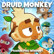 Druid winner poll plush