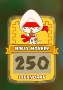 Legendary card with Bloonjitsu on it.