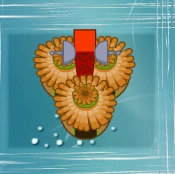 Monkey Town without Path 2 upgrades (BTD5 Flash)