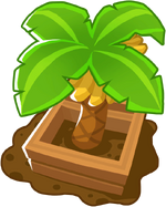 Banana Farm