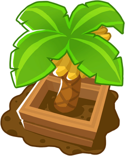 000-BananaFarm