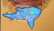 24/24 power Shark
