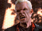 Spike-1.jpg