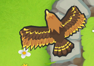 24/24 Golden Eagle back view