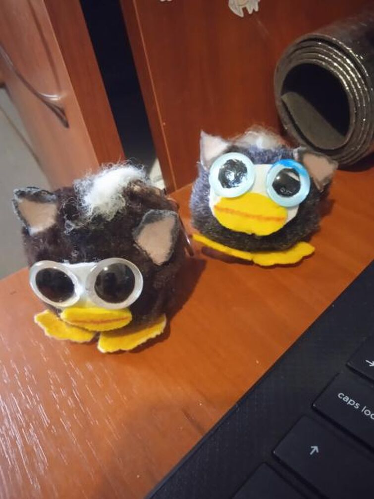 Fandom Image