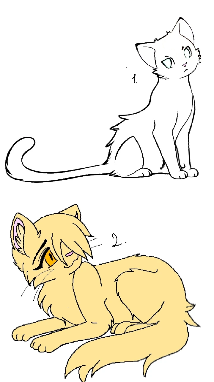Картинки коты воители для срисовки. Коты воители лайны сидит. Картинки коты воители для срисовки. Коты воители для рисования. Картинки коты воители для срисовки.
