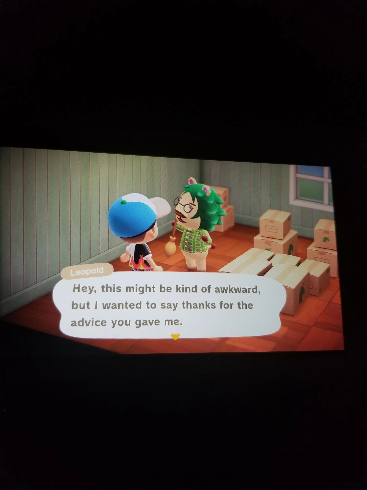 Villager in boxes Fandom