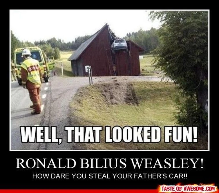 There should be a weasley week