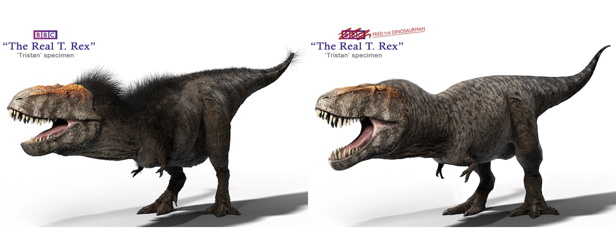how you think t rex look like? 