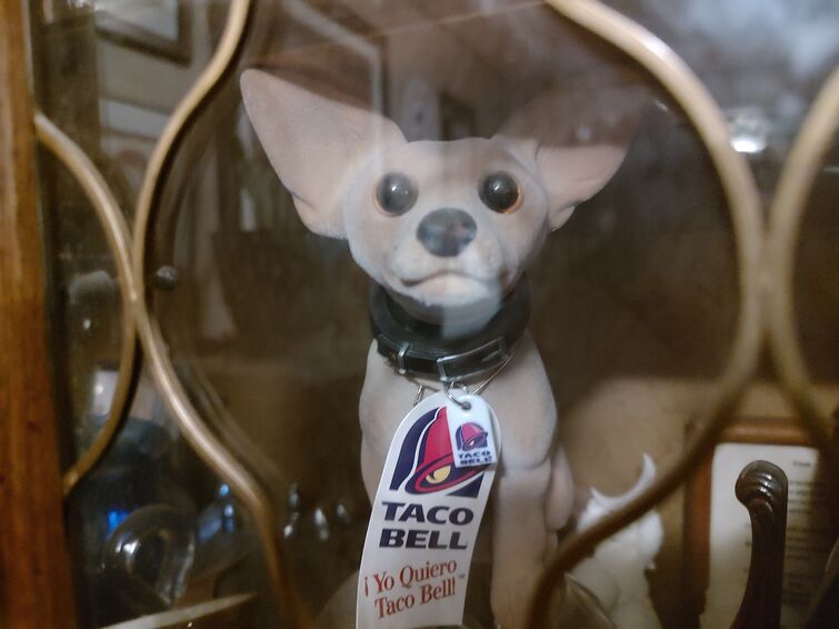 Vintage Taco Bell TALKING Plush Chihuahua Dogs in 2023