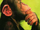 TheBigGnome
