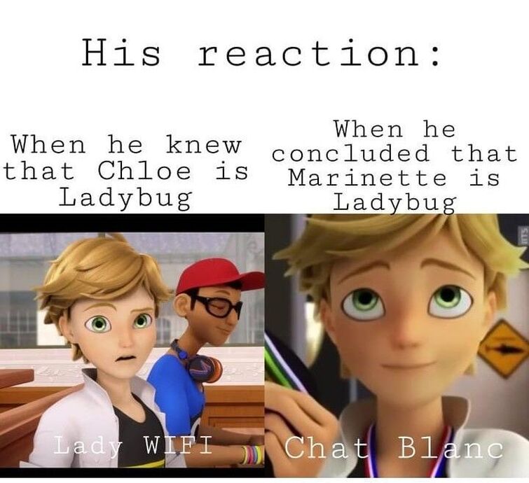 Miraculous Memes to Keep You Awake 1 Fandom