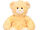 Treasured Topaz Teddy