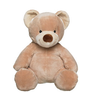 Teddy build store