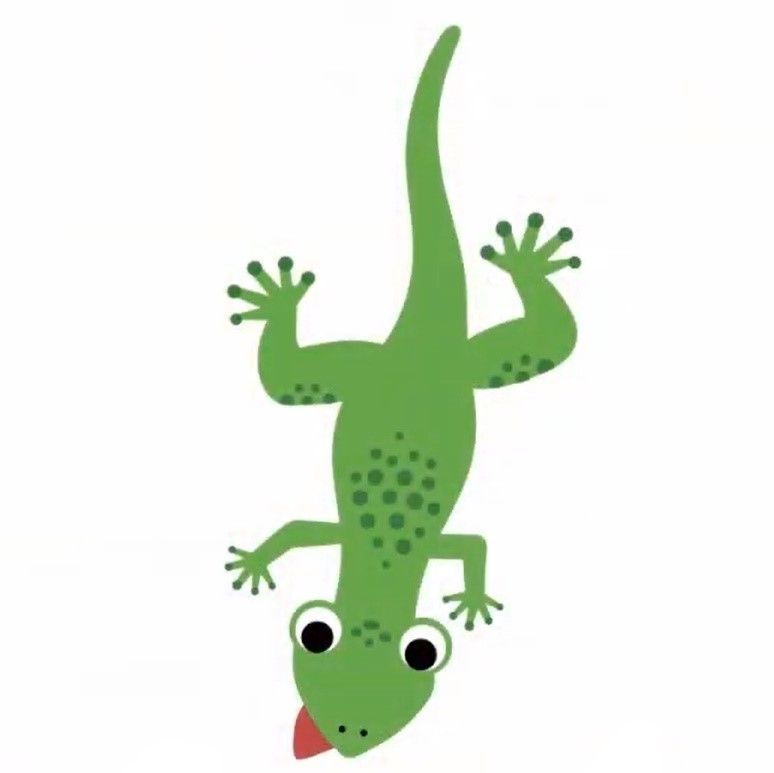 Lizard | Baby Einstein Animals Wiki | Fandom