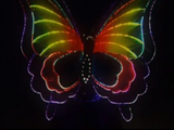 Fiber Optic Butterfly