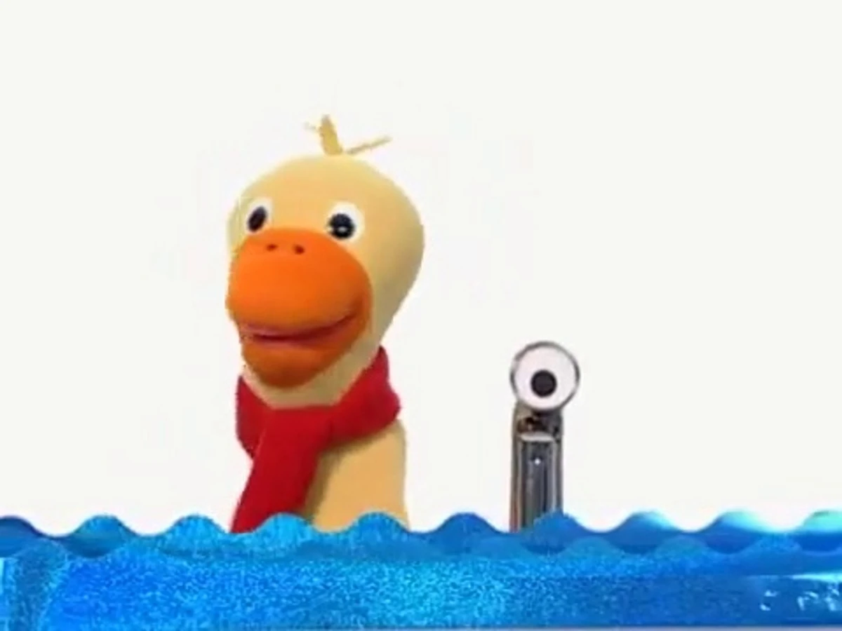 Quacker the Duck Baby Einstein Wiki Fandom