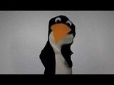 Penelope Penguin Puppet