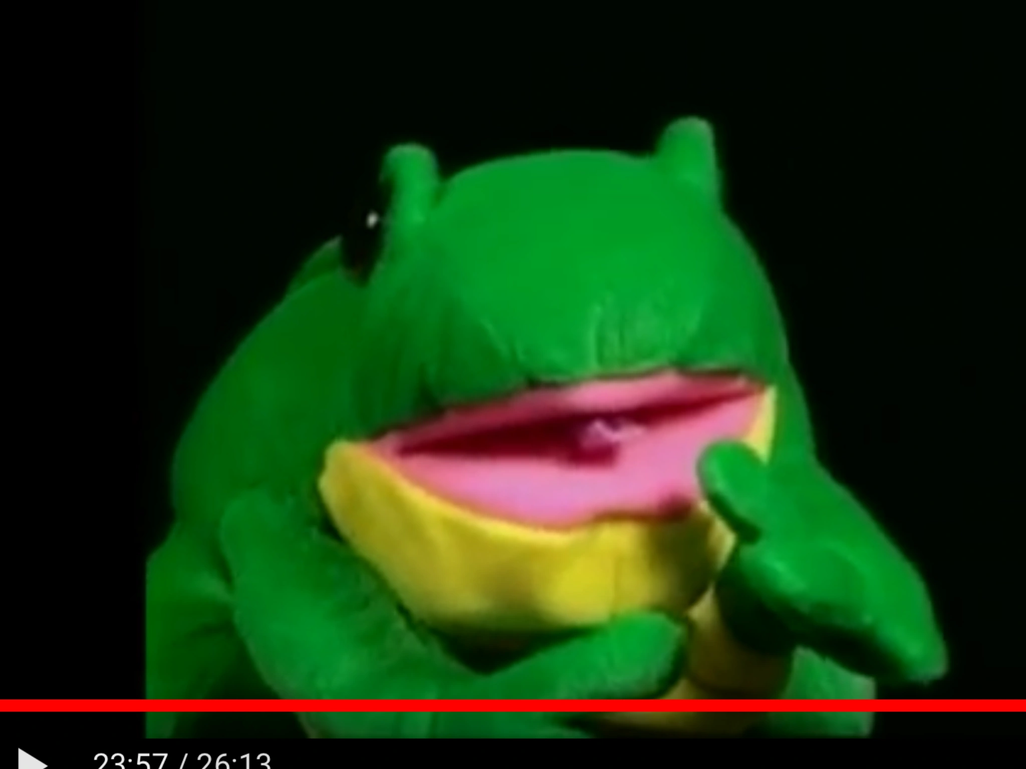 Baby Einstein Frog Puppet Promotions