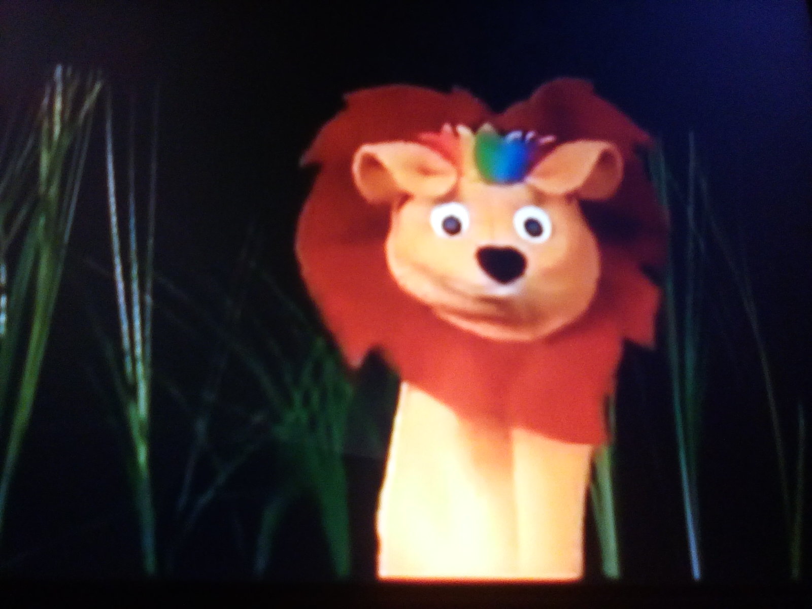 Zorra The Lion Baby Einstein Wiki Fandom