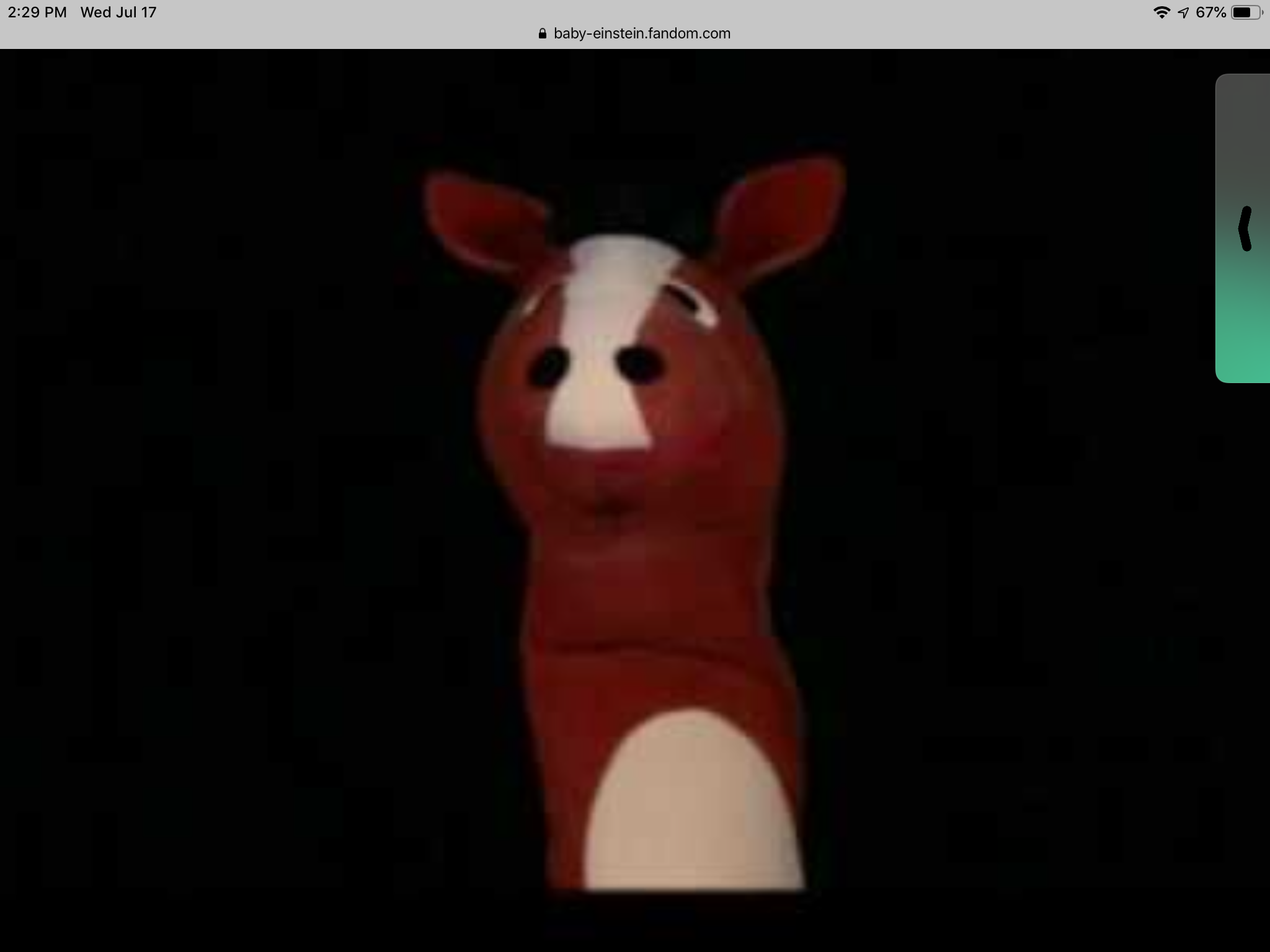 Neighton Horse Puppet Baby Einstein Wiki Fandom