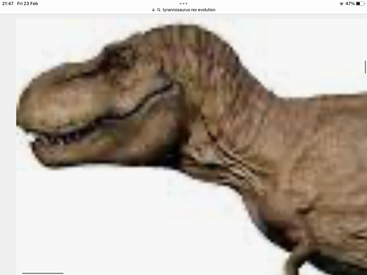 Rexy the Tyrannosaurus Rex | Baby Einstein Wiki | Fandom