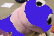 3DEA26FC-1401-473E-B61D-0BAF6E5173E8.jpeg