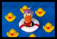 Quacker the Duck (Baby Neptune- Duckie Bath Segment)