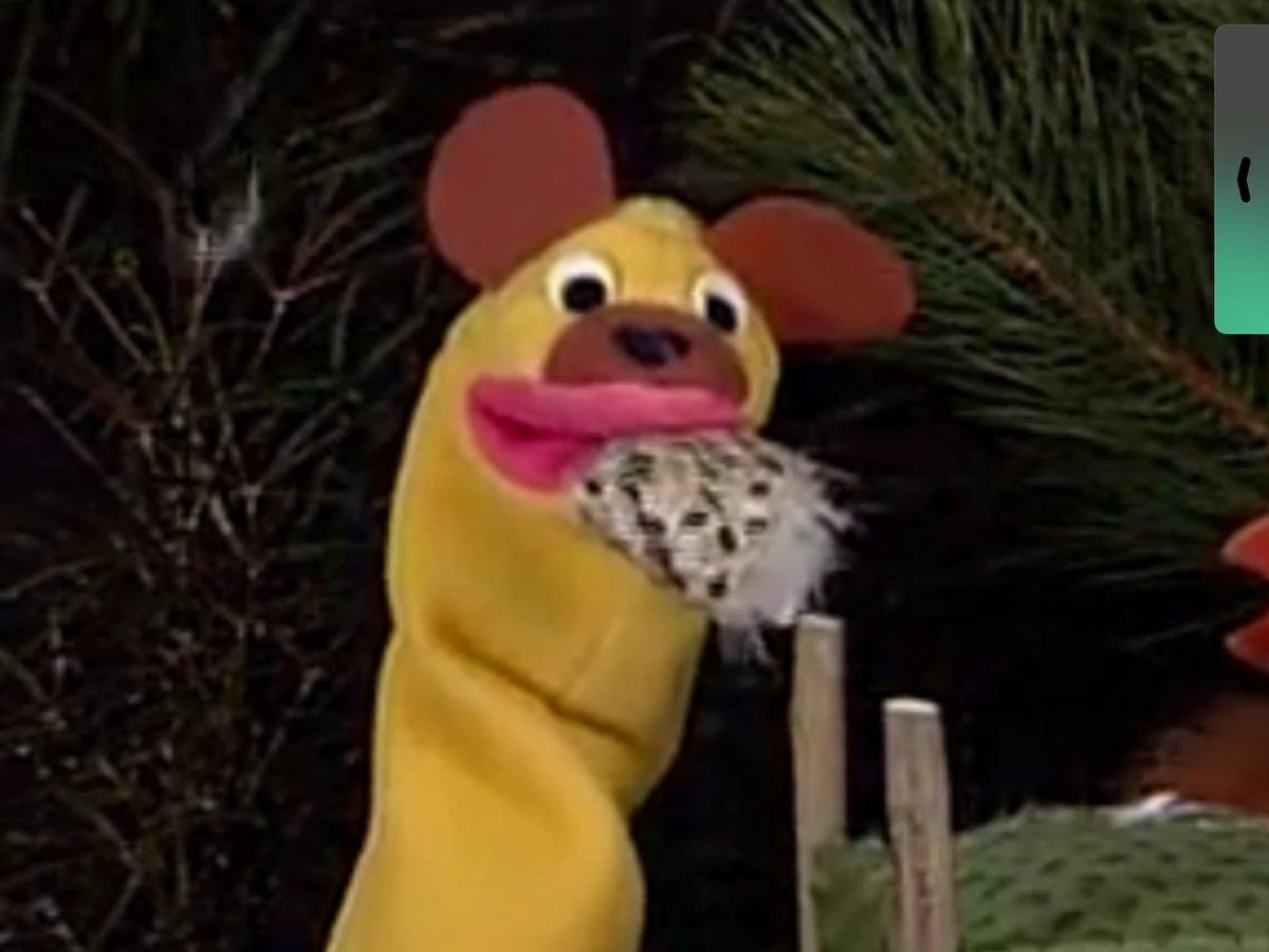 Soapy The Bear Baby Einstein Wiki Fandom