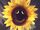 Sunny the Singing Sunflower