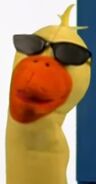 Duck with Glasses