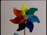 Seedling Colorful Pinwheel
