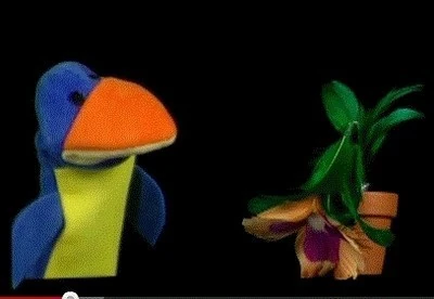 Bubba The Bluebird Baby Einstein Wiki Fandom