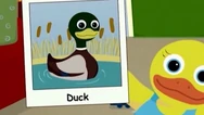 Tillie Knock Knock | BabyFirstTV Wiki | Fandom
