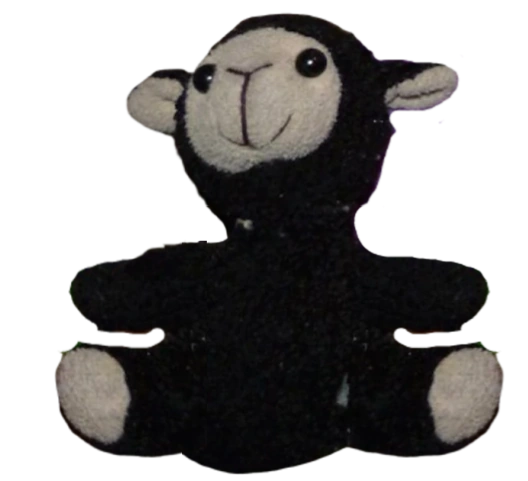 コリンボ COLIMBO テディベア ZY-0903 BUDDYBEAR 