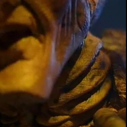Breathing gills