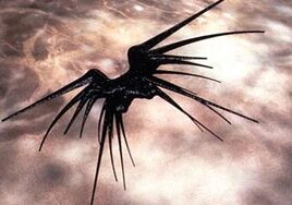 Shadow-battlecrab