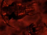 Small Vorlon transport (ancient)