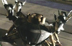 その他 SHELTERBANK SUPERFURIES DEILMAN THEBIRTH SHELTERBANK SUPERFURIES DEILMAN THEBIRTH