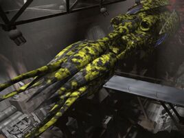 Vorlontransport