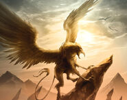 Griffons