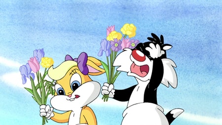 Looney Tunes - Tweety Flower Power, Sports Bra