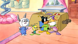 Card Bored Box | Baby Looney Tunes Wiki | Fandom