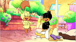 Baby looney deals tunes melissa