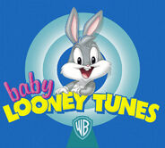 Academia de Pilotos Baby Looney Tunes, EN