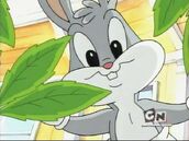 Baby Looney Tunes - 004 - Comfort Level-(007213)22-20-30-